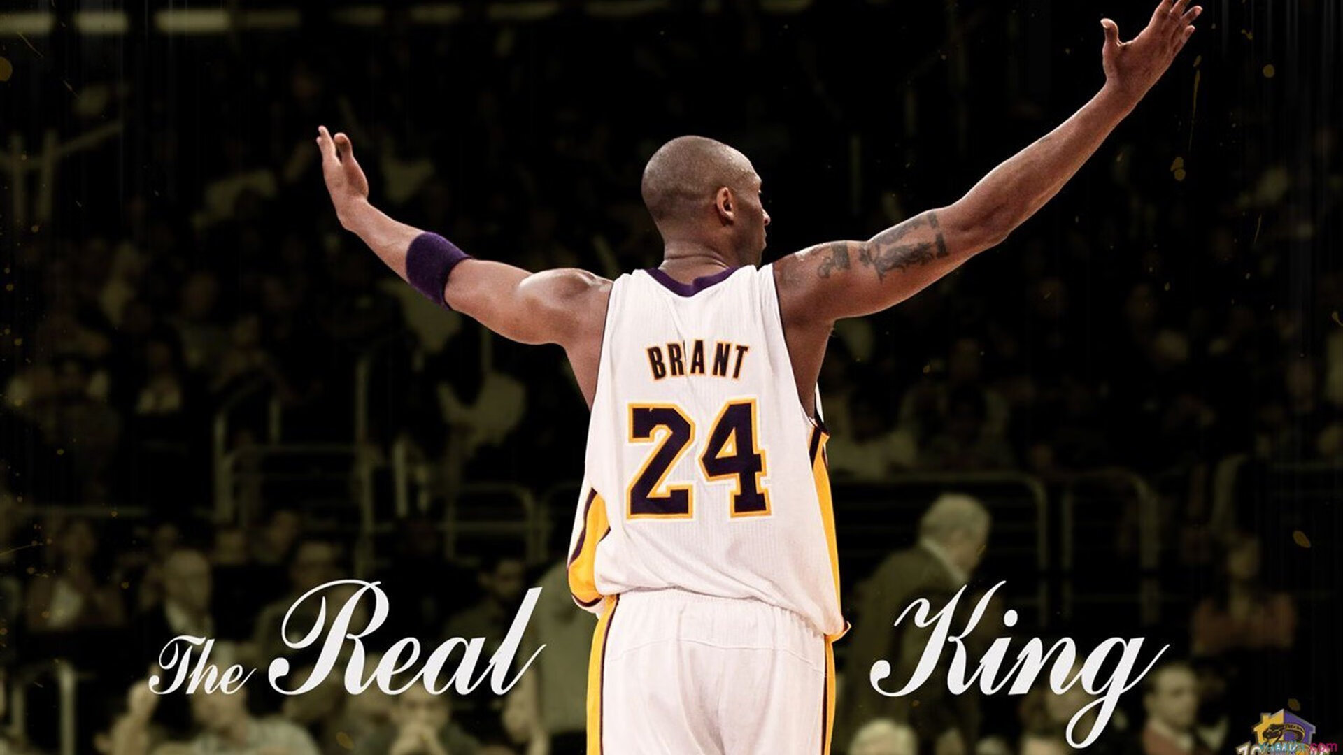 全国青少年“篮球+科技”创新运输“智慧篮”系统，推动青训信息化升级